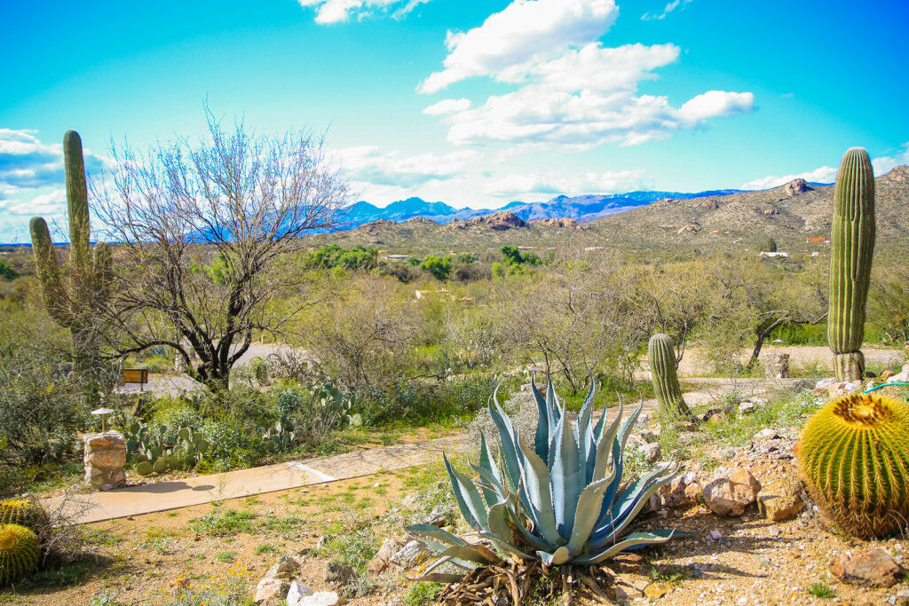 Tanque Verde Guest Ranch توسن المظهر الخارجي الصورة